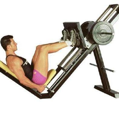 Powertec Fitness Máquina de prensa de piernas, capacidad de peso de 1000  libras, color negro, equipo de ejercicio profesional para gimnasio en casa