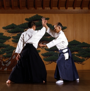 La técnica aikido produce beneficios sobre la salud 