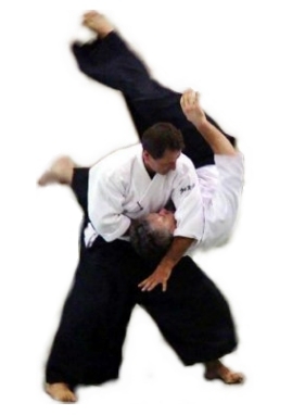 La técnica de aikido 