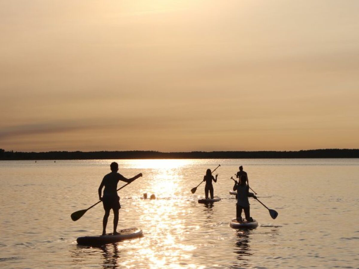 ▷ Ejercicios para Hacer Paddle Surf y Mantenerse en Forma 2024
