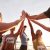 6 consejos para elegir un buen grupo de running