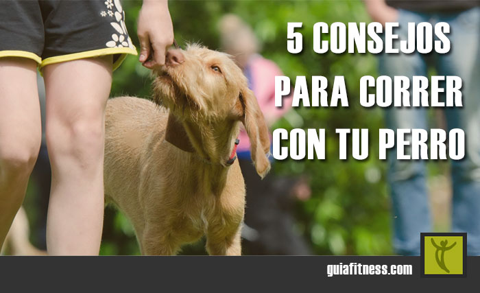 5 consejos para correr con tu perro