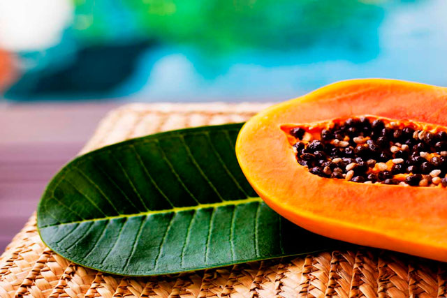 Por qué incluir la papaya a tu dieta es beneficioso para tu organismo