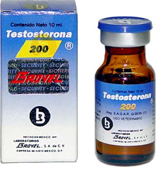 testosterona200f